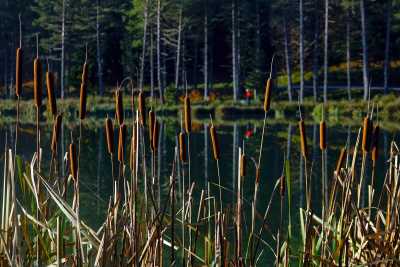 Topuk Yaylası ve Göleti